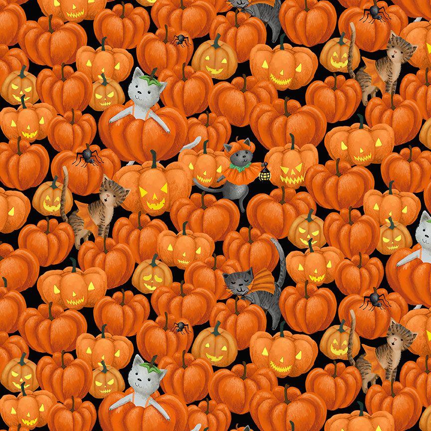 STELLA-D3123-TANGERINE Tangerine Freak Meowt