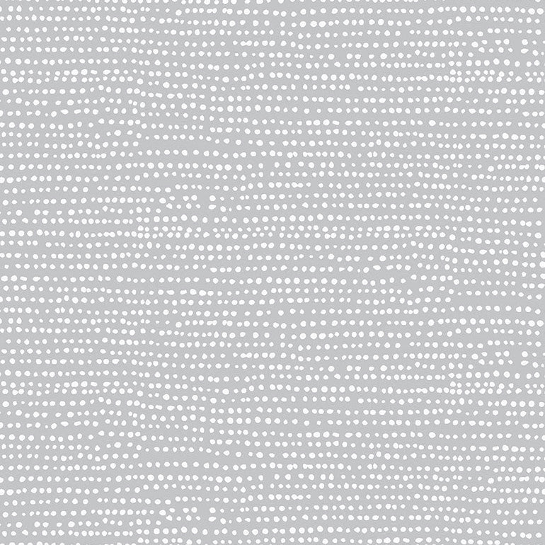 STELLA-F1150-LUNAR Moonscape