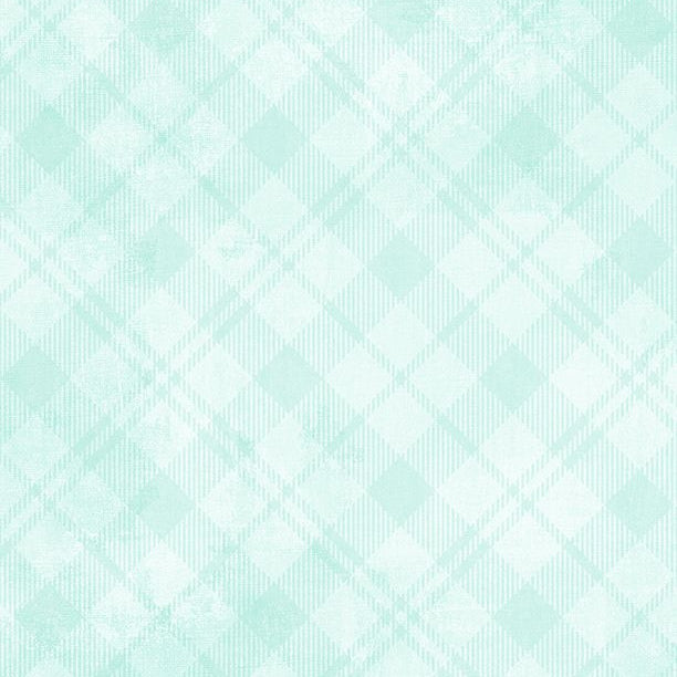 1077-89291-740 - Dry Brush Plaid