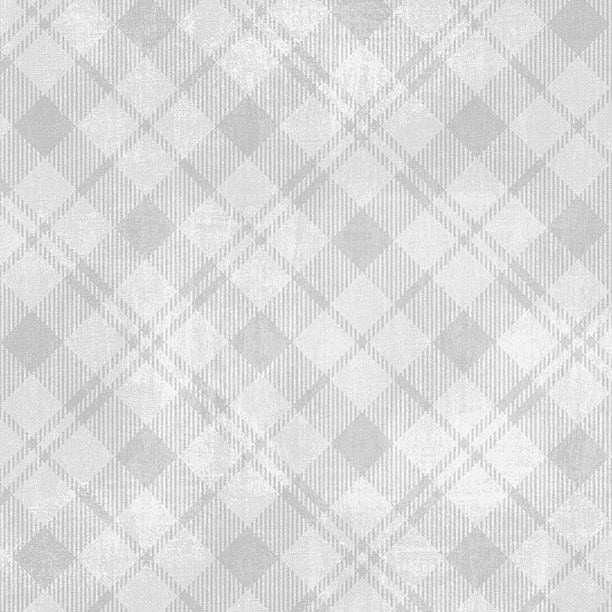 1077-89291-901 - Dry Brush Plaid