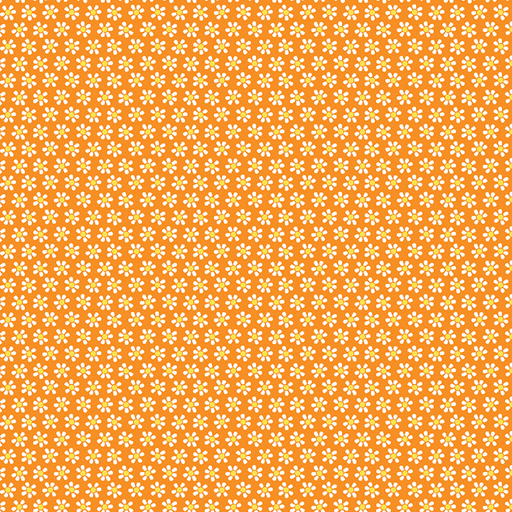 1338537B - Mini Daisy Orange