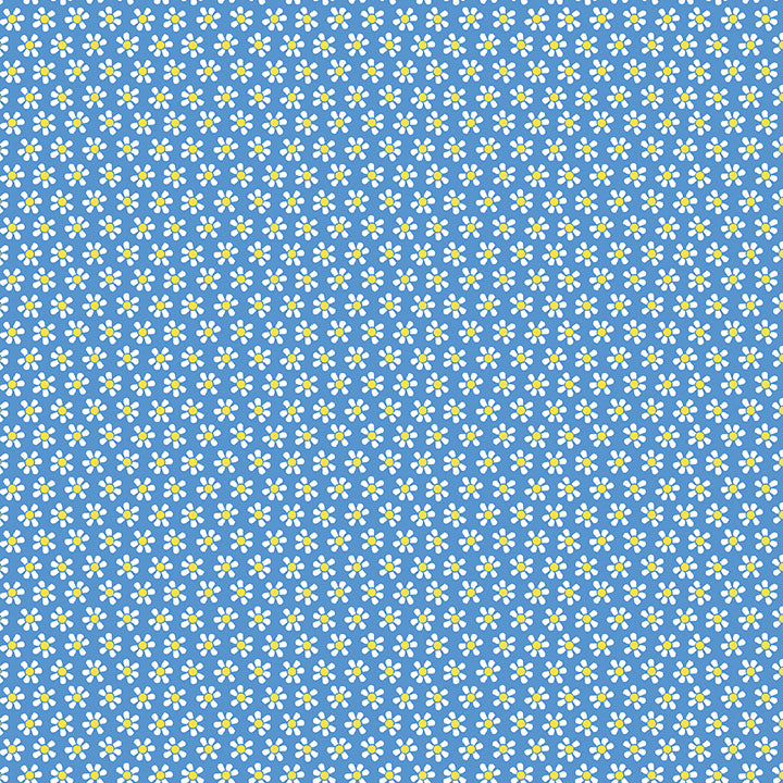 1338552B - Mini Daisy Blue