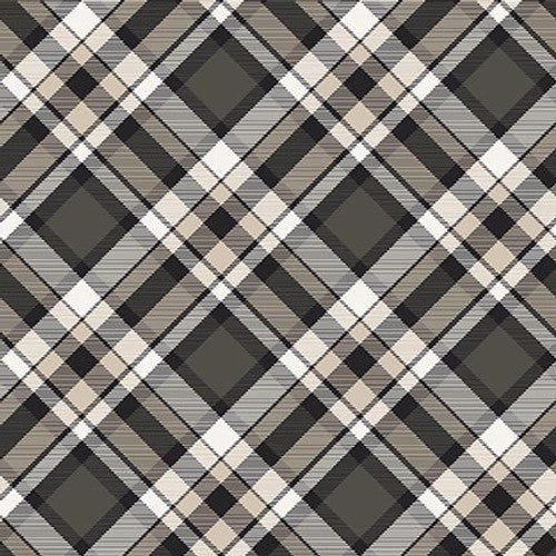 1633-49 Black || Big Kitties