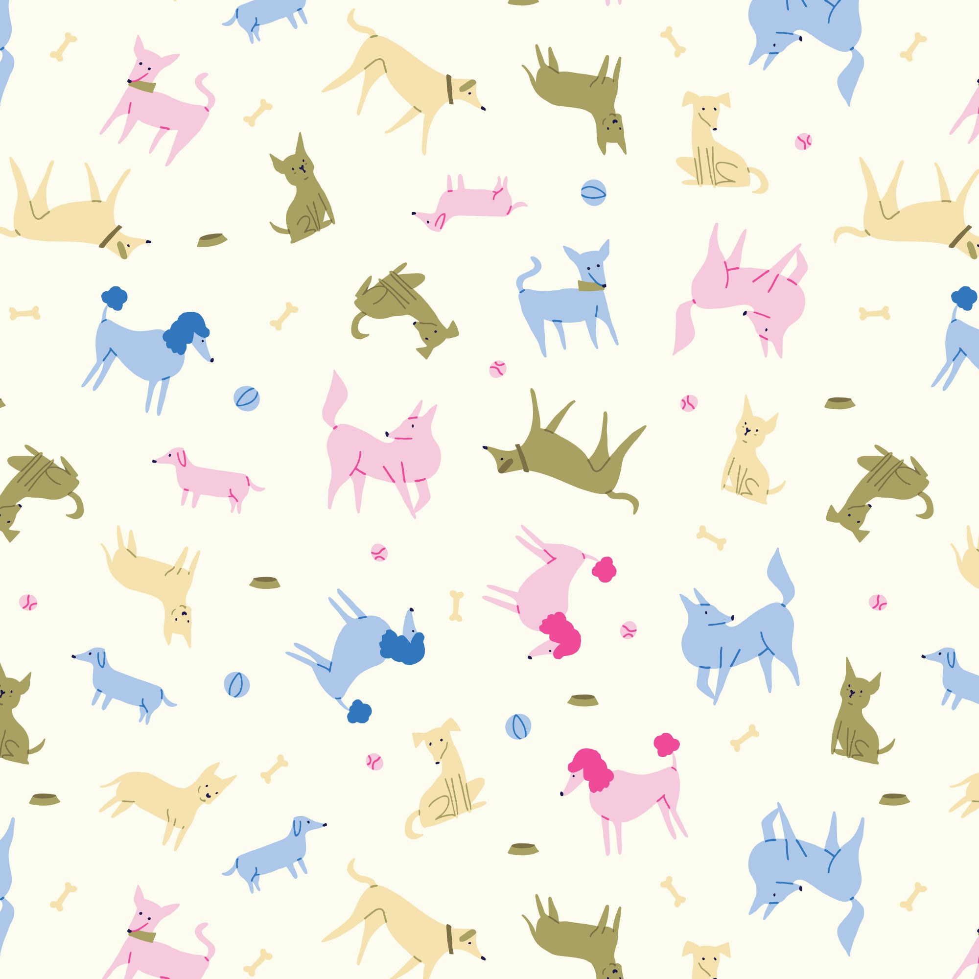 228572 Dogs, Dogs, Dogs