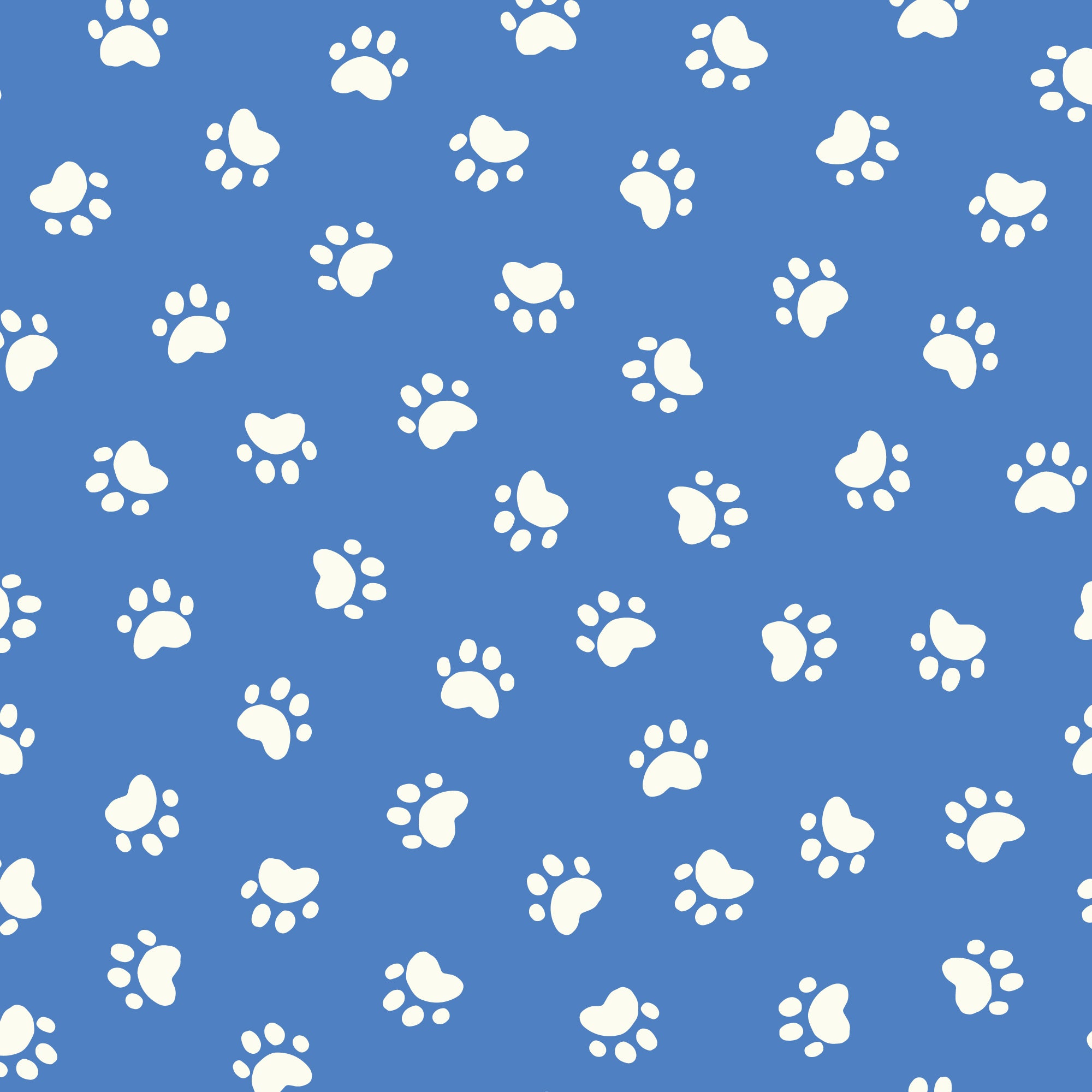 228580 Concrete Was Not Dry | Blue