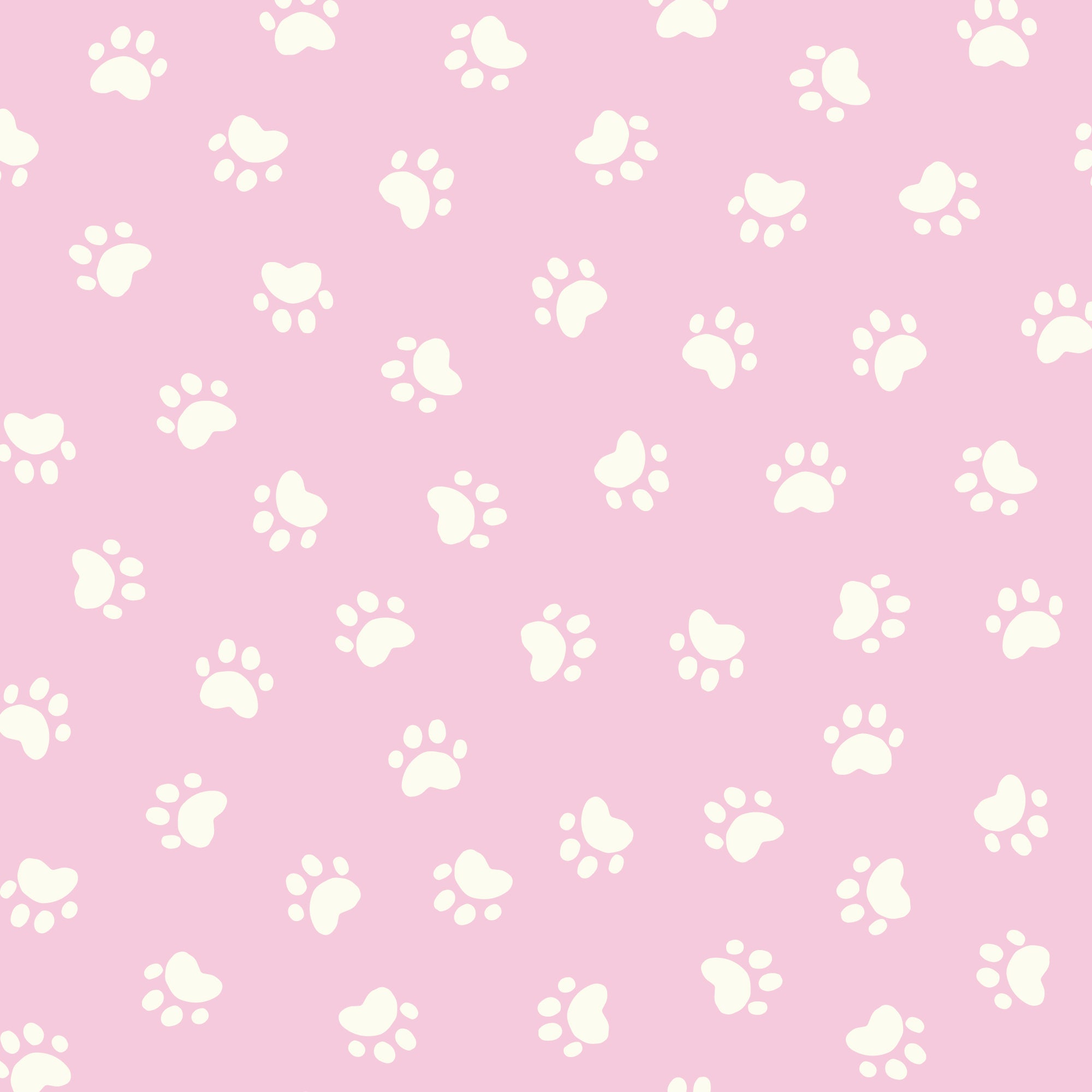 228581 Concrete Was Not Dry | Pink