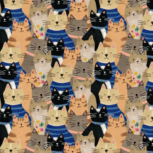 Every Home Every Cat || Smiley Cat || Multi