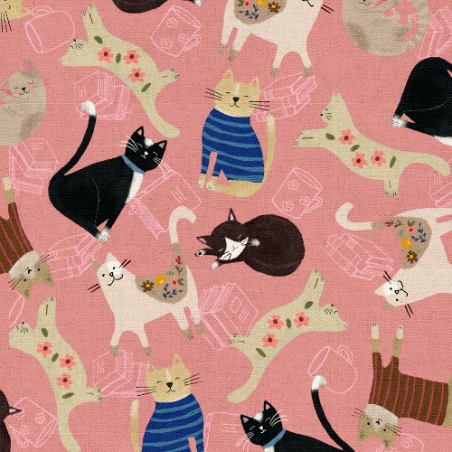 Every Home Every Cat || Stacked Cats || Rose