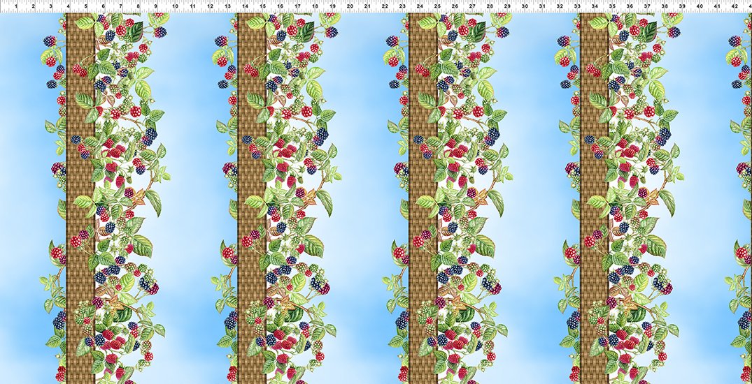 241SEW-1 Border Stripe