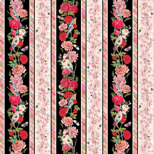 3772-99 Black - Border Stripe || Romance