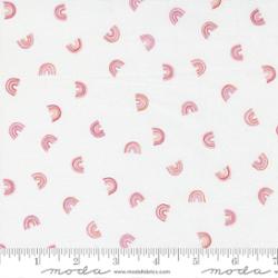 55564 25 Renew Rainbow Strawberry