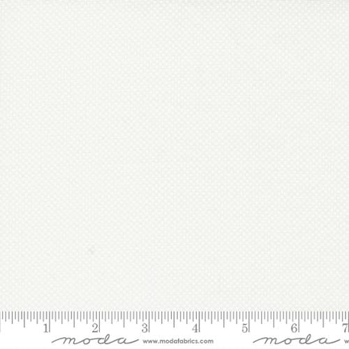 29149 11 Coriander Seeds Little Miss Shabby