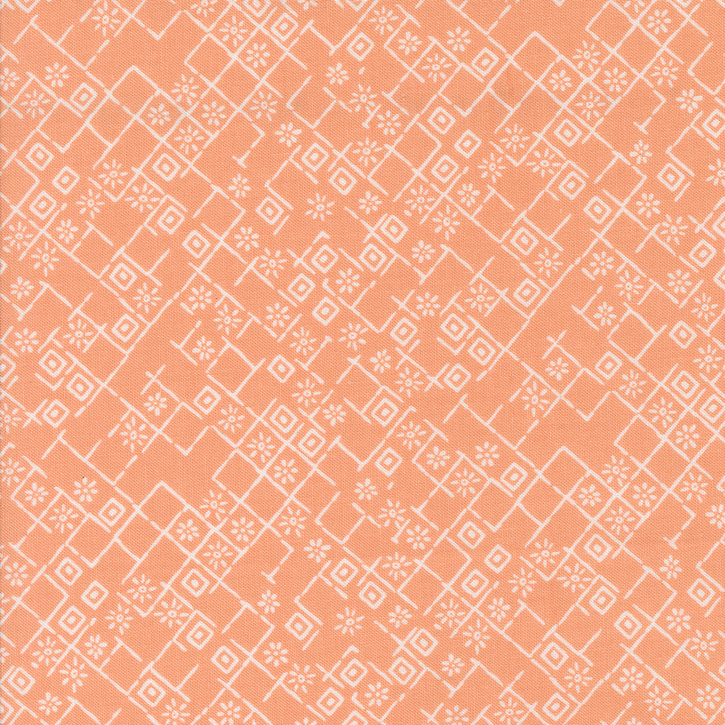 45635 19 Foraged Found             Peach