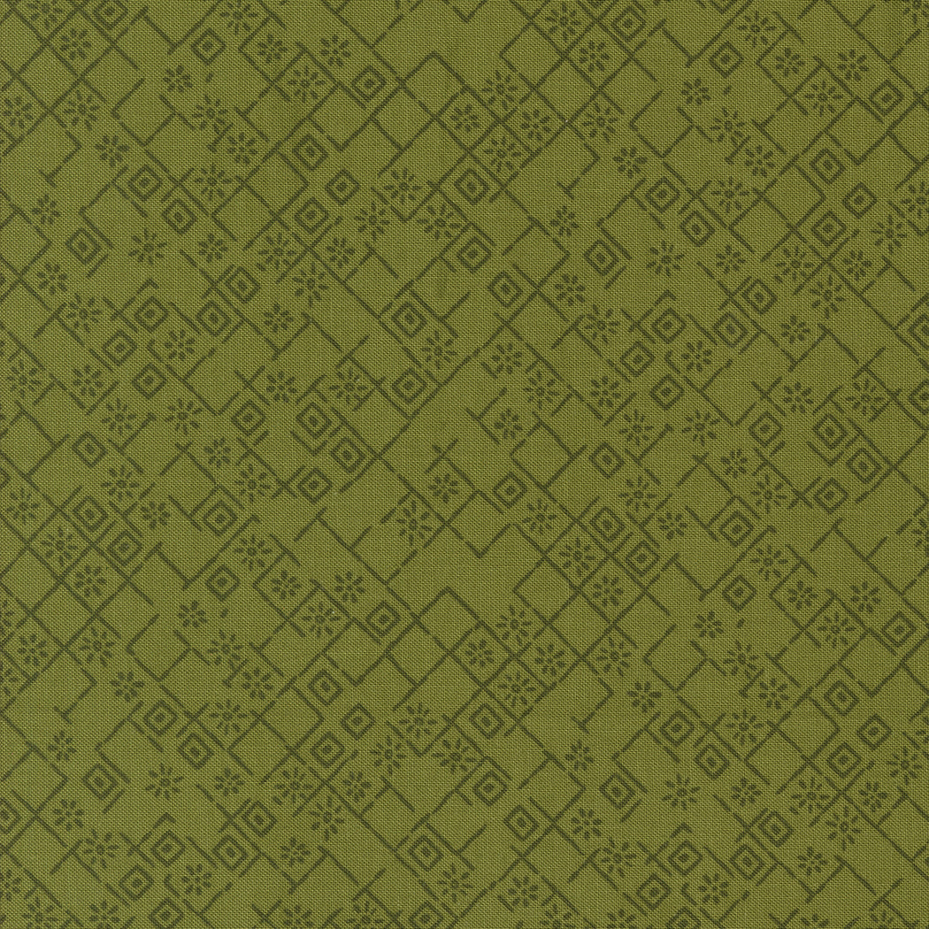 45635 21 Foraged Found              Fern