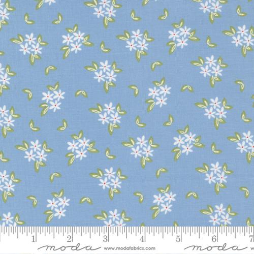 37632 19 Emma Daisies Bluebell