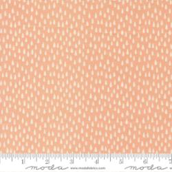 20875 15 Noahs Ark The Storm Peach