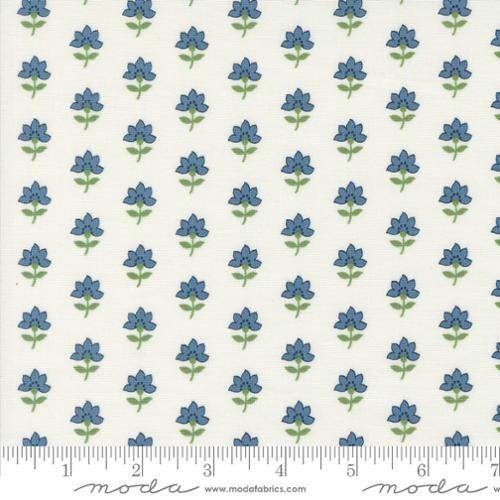 55301 11 Shoreline           Cream Multi