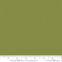 9900 458 Bella Solids Lichen