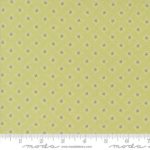 18775 13 Georgia                  Willow