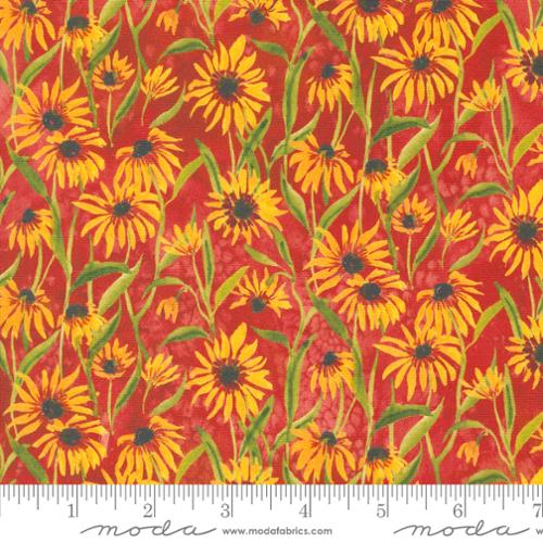39805 14 Floribunda                Spice