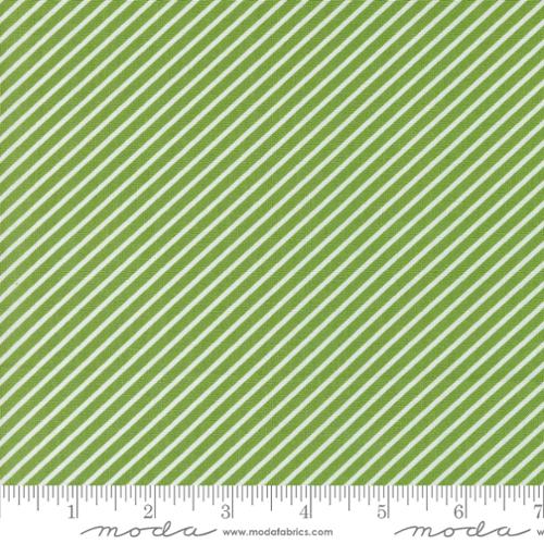 37687 21 Laguna Sunrise      Fresh Grass