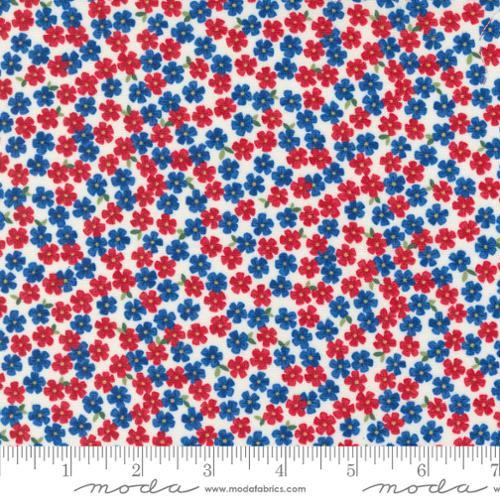 56115 11 Red White Bloom Daisy White