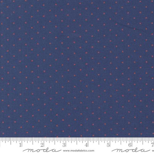 24106 80 Star Spangled   Twilight Rocket