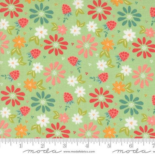 37690 15 Raspberry Summer           Mint