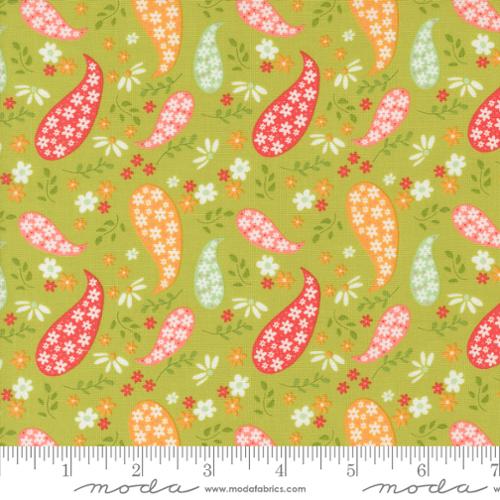 37691 17 Raspberry Summer           Lime