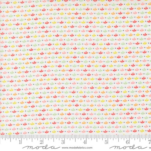 37694 11 Raspberry Summer          Cloud