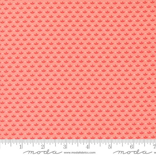 37694 12 Raspberry Summer      Carnation