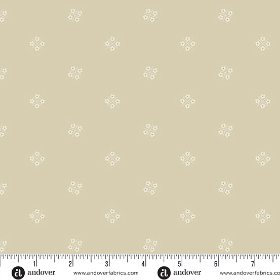 A-005-N Plain and Simple by Andover Fabrics Flower Box Sand