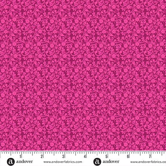 A-1504-E || Mollys Magic || Phlox Azalea