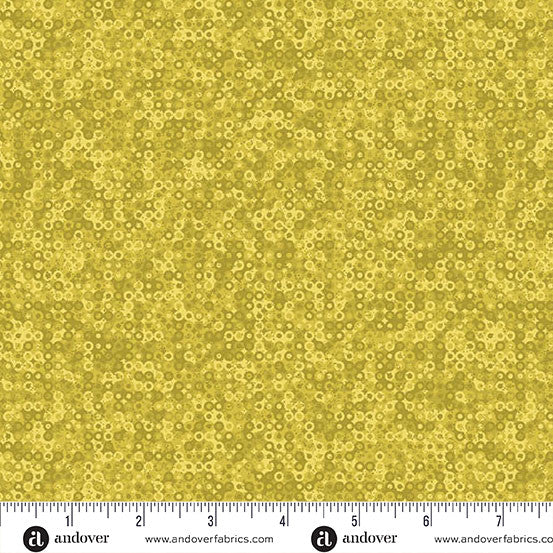 A-1505-Y1 || Fairy Rings || Fairy Rings Pear