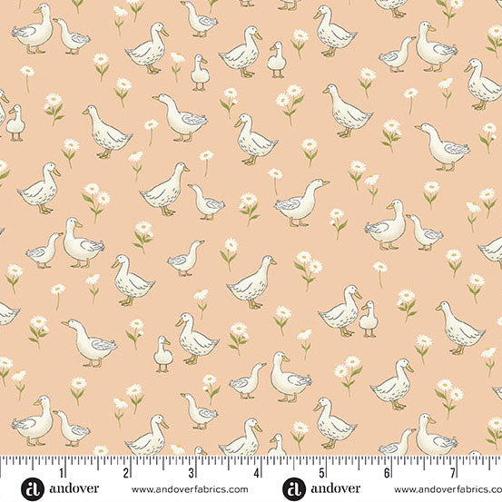 MU-190-C || Little Ones || Ducks Coral