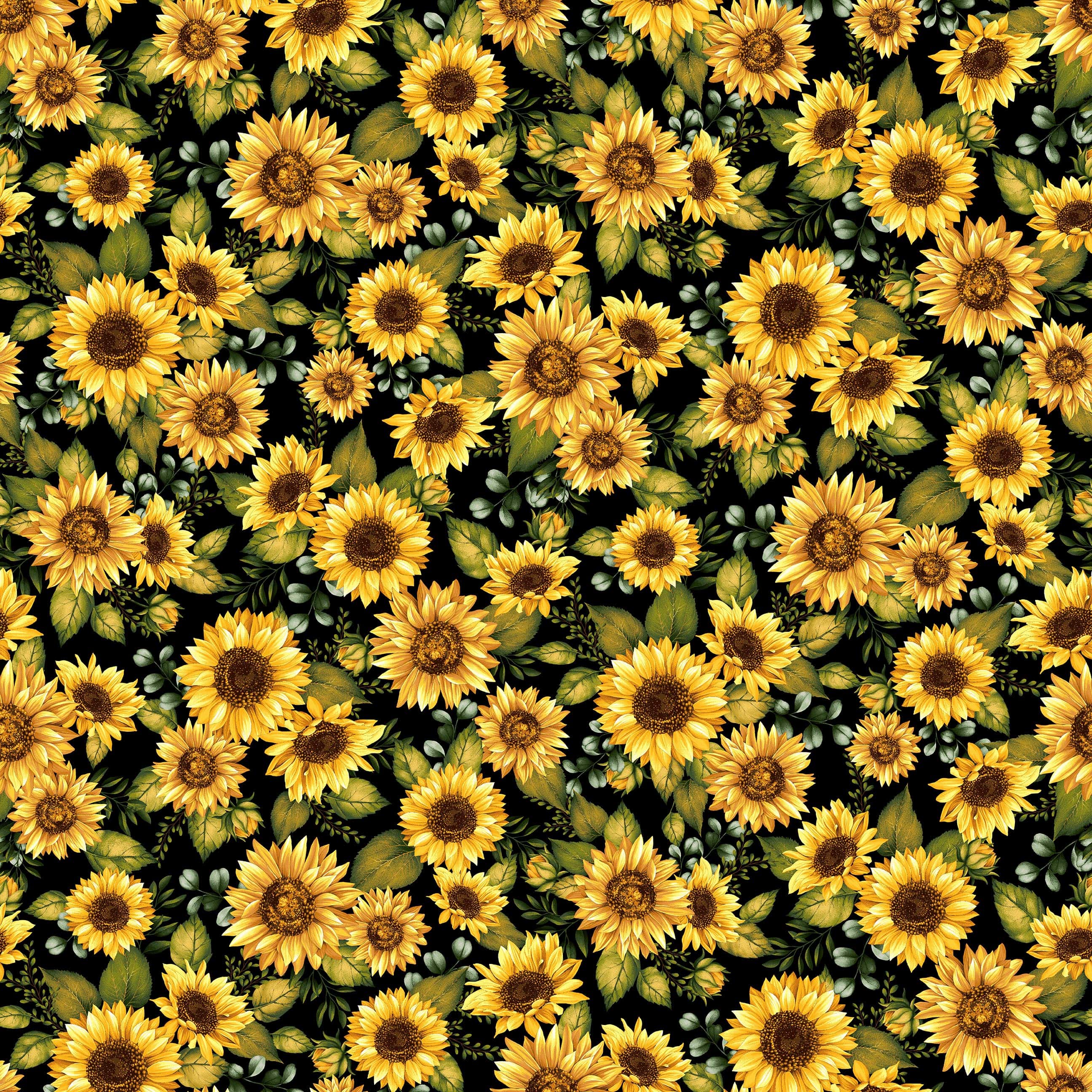 7694-99 Black || Seeds of Gratitude