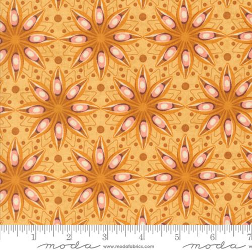 30762 13 Acorn Hollow Maize