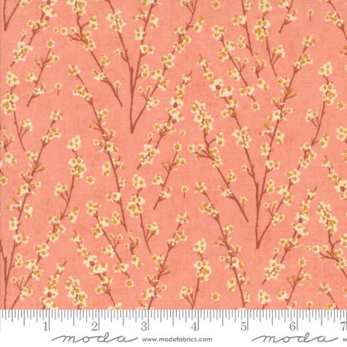 30765 17 Acorn Hollow Apple