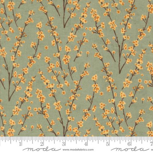 30765 18 Acorn Hollow               Sage