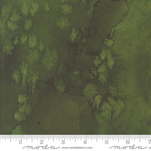 8433 132 Wanderlust Flow Forest