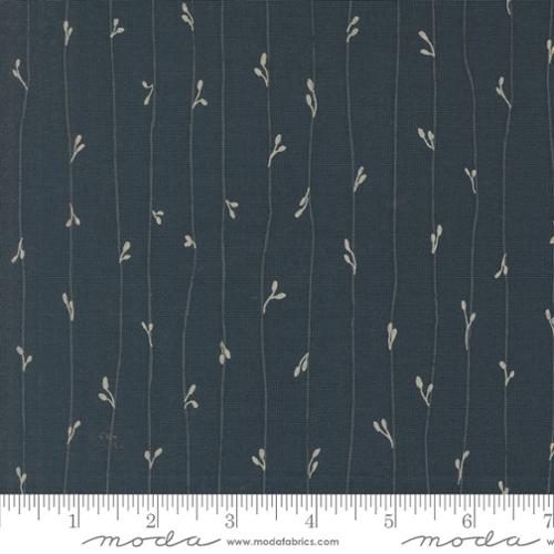 38146 13 Rainier                Deep Sea