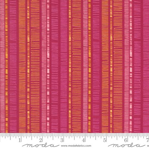 48785 21 Superbloom Orchid