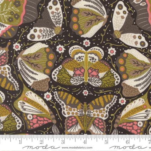 48421 24 Night Owl              Midnight