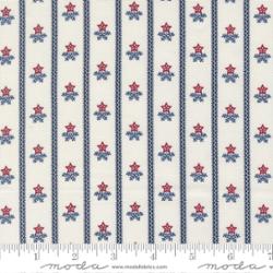 49322 11 American Gatherings III Cloud