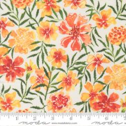 39863 11 Soulstice Coral