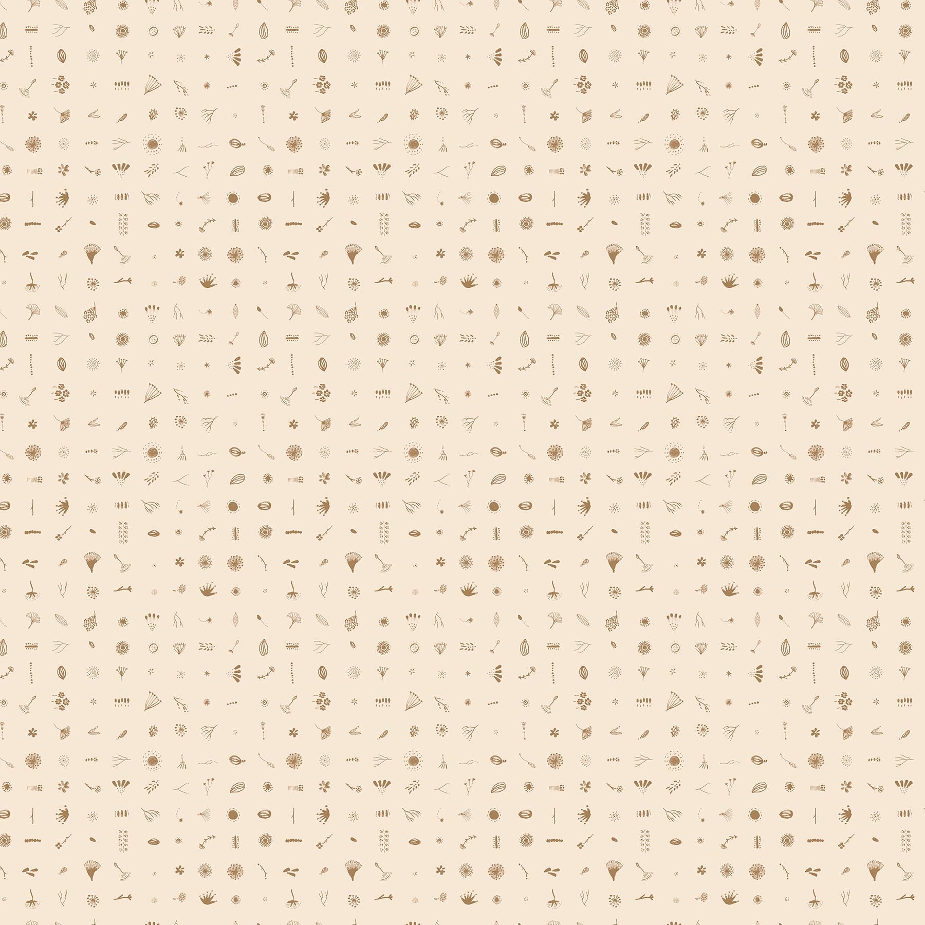 Autumn Forage 90854-11 Seeds - Cream
