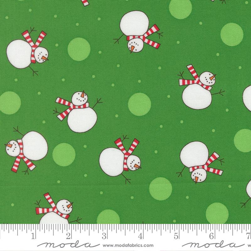 22501 13 Snow Time Evergreen