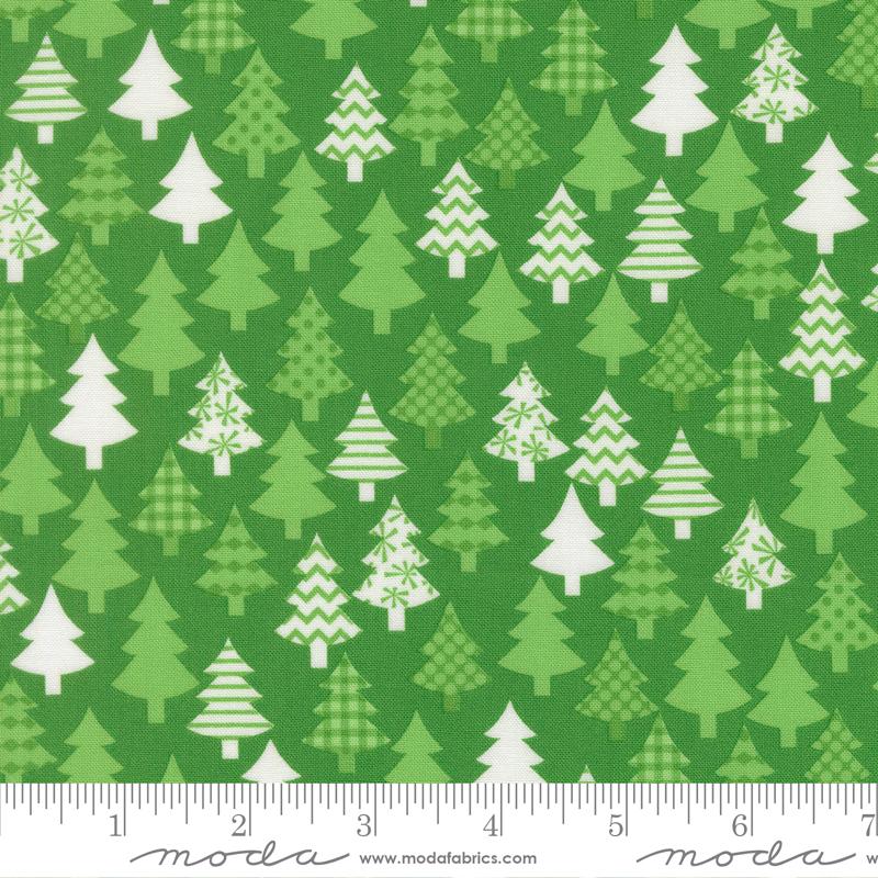 22502 13 Snow Time Evergreen