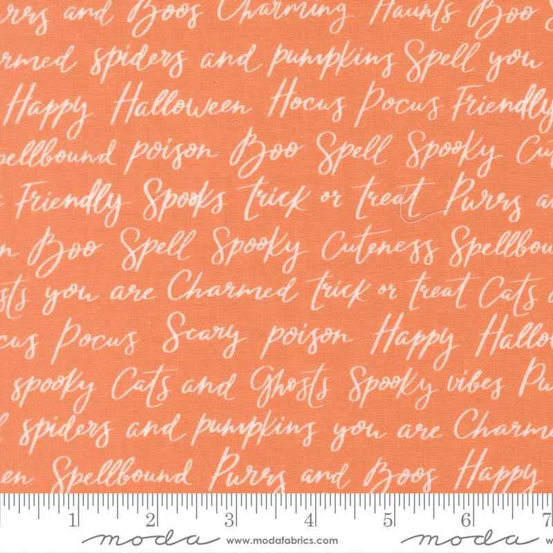 39062 14 Purrs and Boos Pumpkin