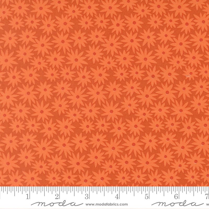 51270 13 Scenery Sedum Yam